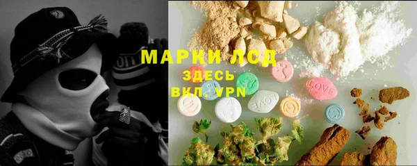 spice Елизово