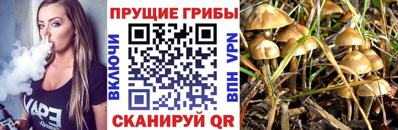 ссылка на мегу рабочий сайт  Нарткала  Псилоцибиновые грибы GOLDEN TEACHER  как найти  